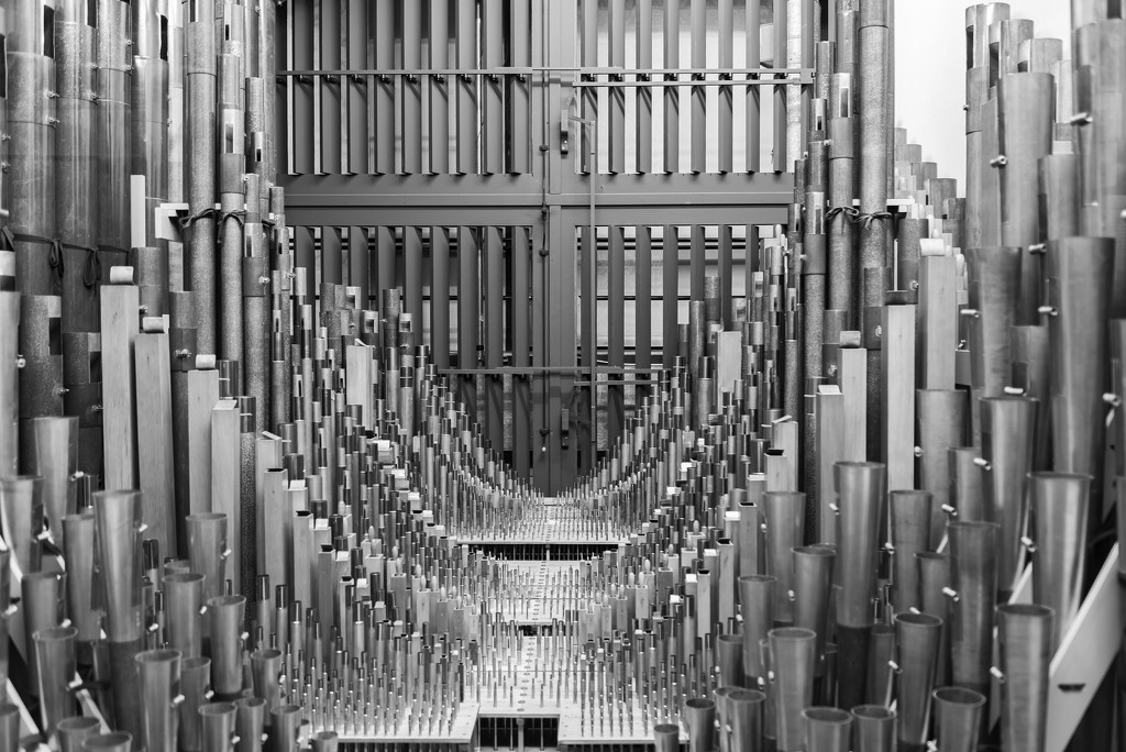 Organ Pipes by andymacera