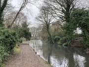10th Jan 2021 - Morning Canal Walk with thawing frost dropping