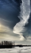 11th Jan 2021 - Wispy Clouds 
