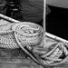 Rope Coil Context by jyokota