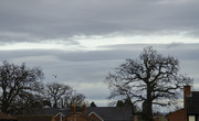 11th Jan 2021 - Cloud formation
