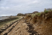11th Jan 2021 - Coastal erosion