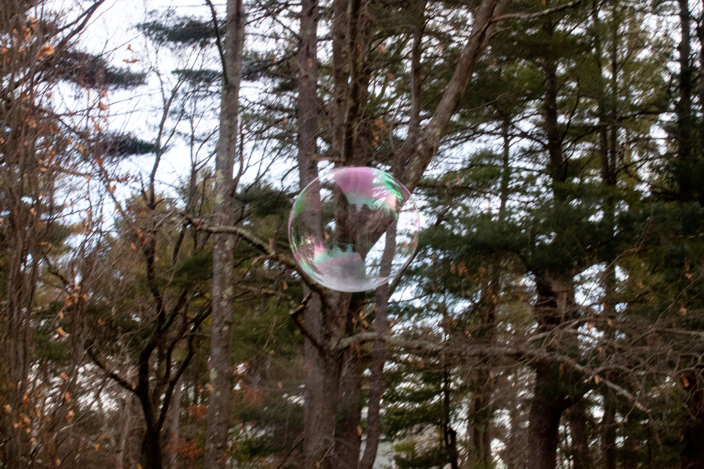 Outdoor Bubble by tdaug80