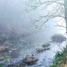 Mist on the stream by filsie65