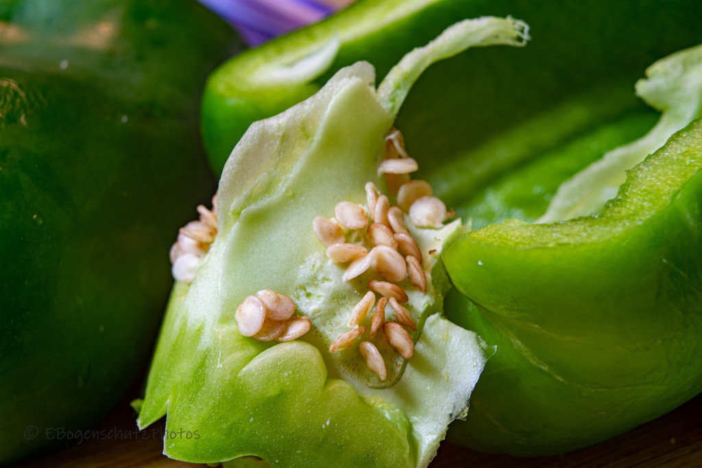 Green pepper and seeds by theredcamera
