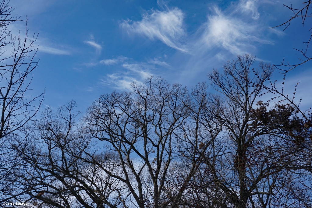 Clear sky in January by larrysphotos