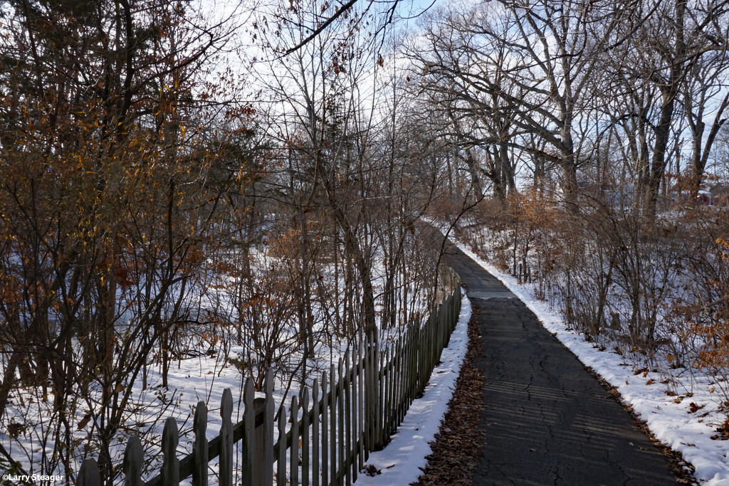 January walk in the woods by larrysphotos