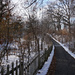 January walk in the woods by larrysphotos