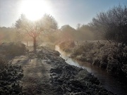 12th Jan 2021 - Frosty morning in the marsh (2)