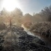 Frosty morning in the marsh (2) by etienne