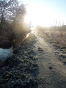 12th Jan 2021 - Frosty morning in the marsh (3)