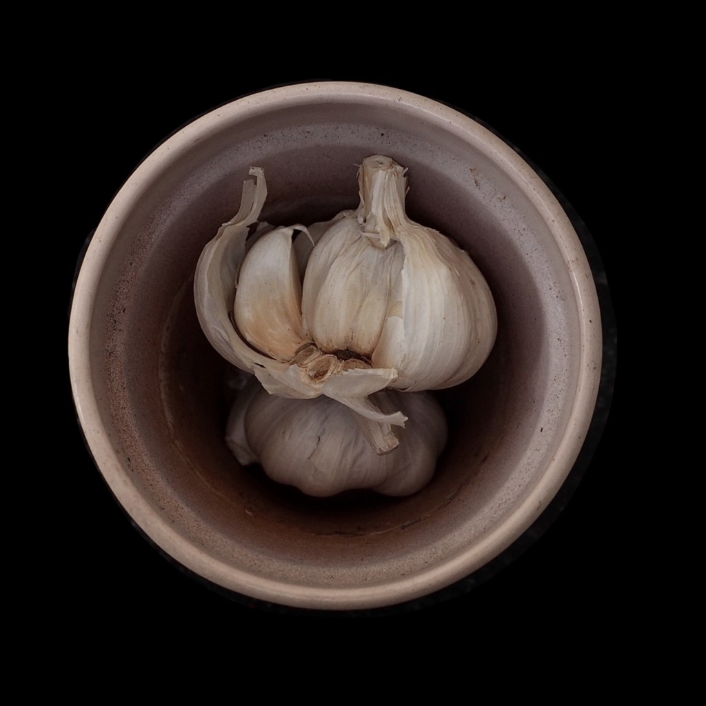 Garlic  by jacqbb