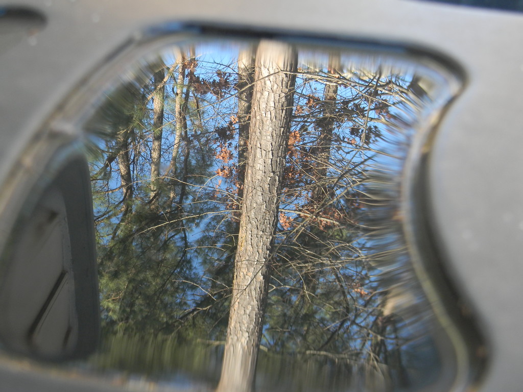 Water Reflection by sfeldphotos