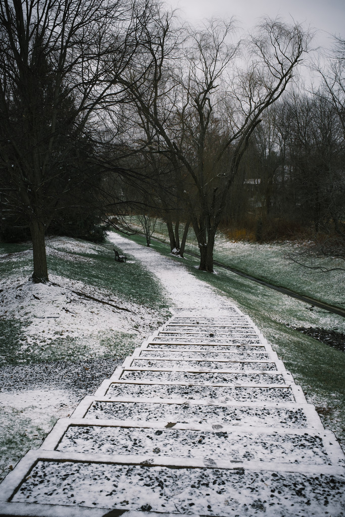 Snow Covered Path by ramr