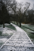 12th Jan 2021 - Snow Covered Path