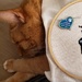 This project may contain cat hair by labpotter