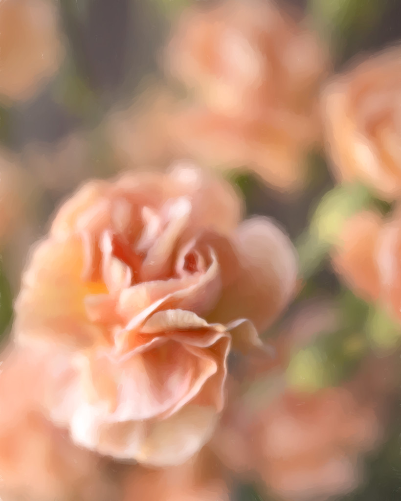 Mini carnation softly by jernst1779