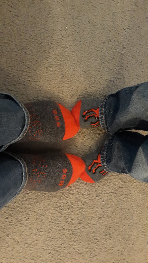 Matching Socks  by julie