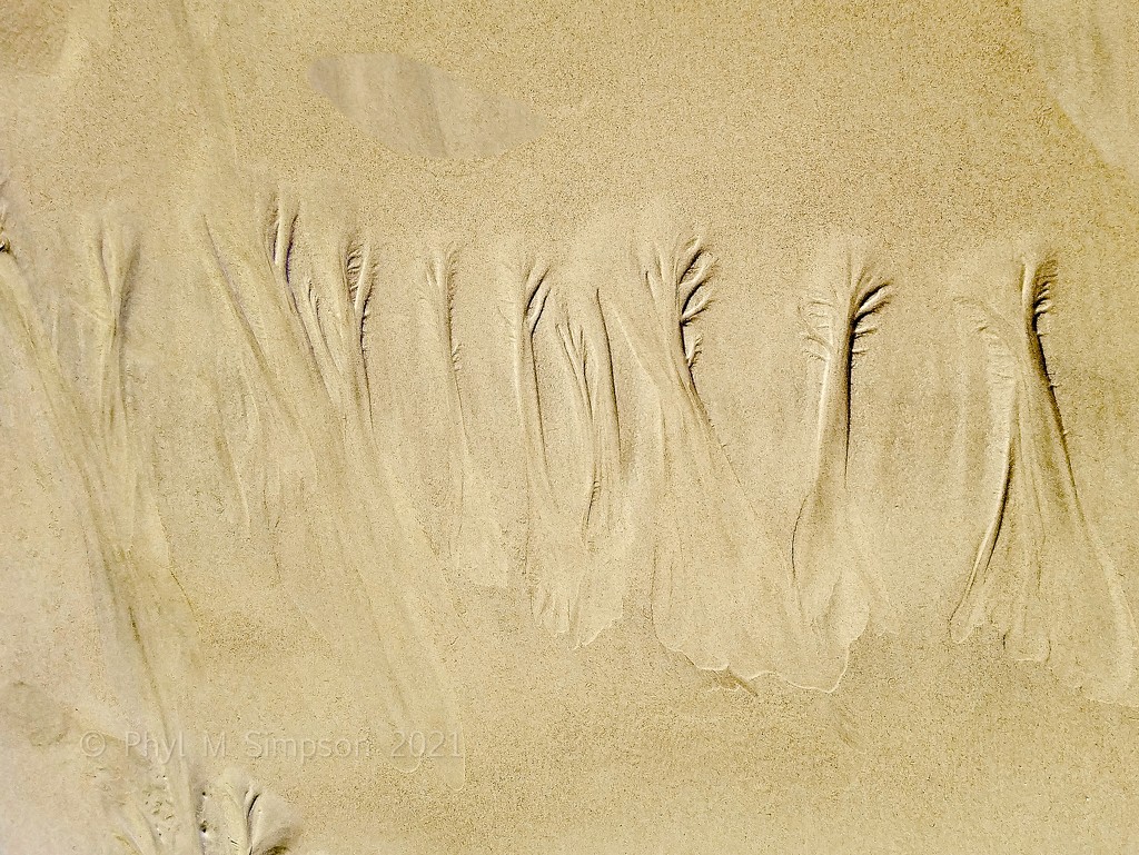 Poseidon’s Sand Paintings 🧜🏼‍♂️ by elatedpixie