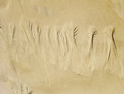 13th Jan 2021 - Poseidon’s Sand Paintings 🧜🏼‍♂️