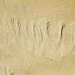 Poseidon’s Sand Paintings 🧜🏼‍♂️ by elatedpixie