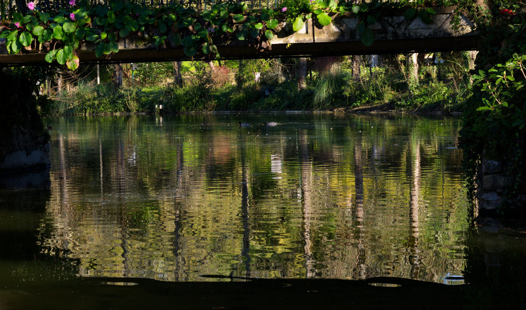 Pond with Bridge by fotoblah