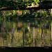 Pond with Bridge by fotoblah