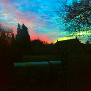 13th Jan 2021 - Red sky in the morning