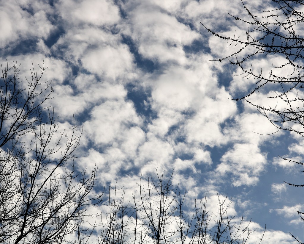 January 14: Marshmallow Clouds by daisymiller