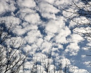 14th Jan 2021 - January 14: Marshmallow Clouds