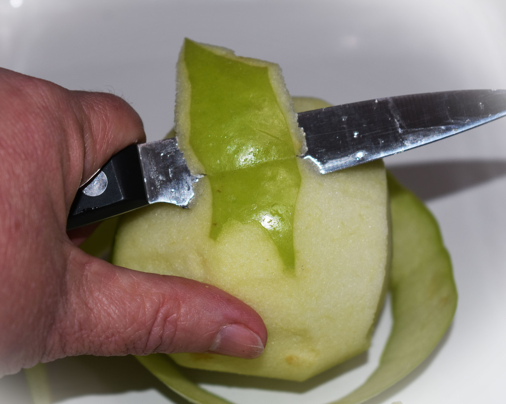 How to peel an apple.... by homeschoolmom