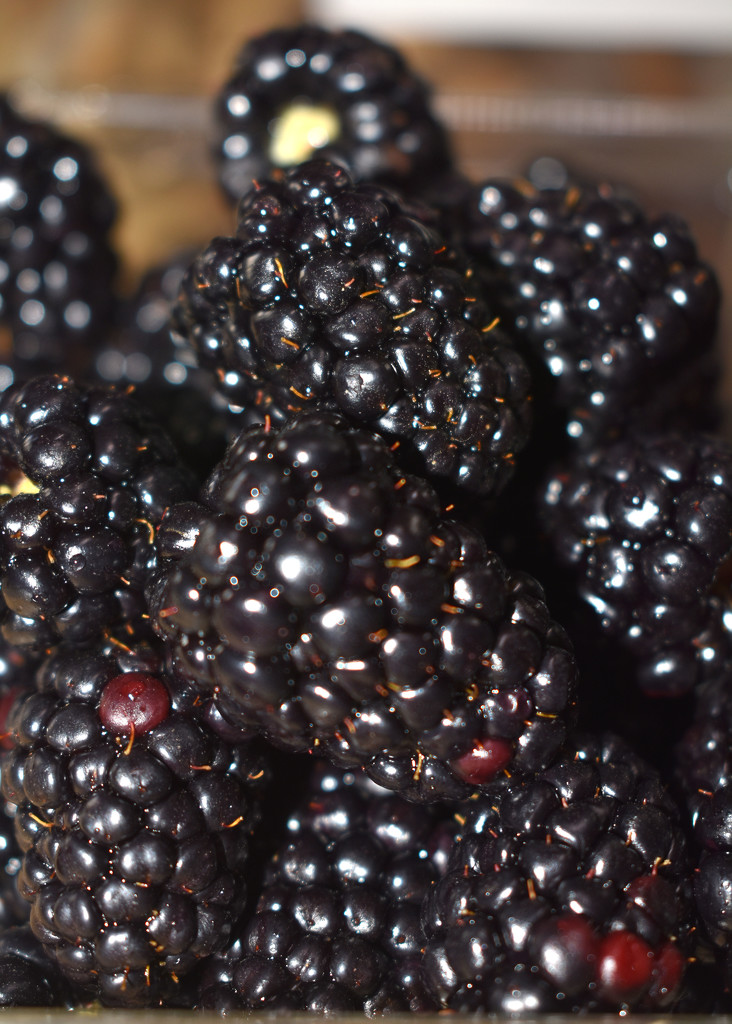 Blackberries are my favorite fruit by homeschoolmom
