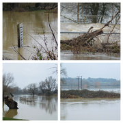 15th Jan 2021 - Flooded again........ 