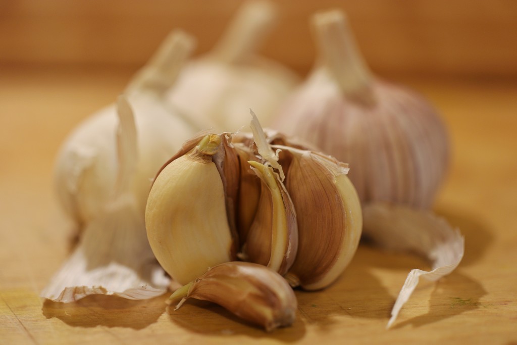 Garlic by okvalle