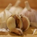 Garlic by okvalle