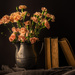 Carnations posing by jernst1779