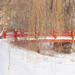 Red Bridge in Lacoursière Park Nuns' Island (Verdun, Montreal), Quebec by dora