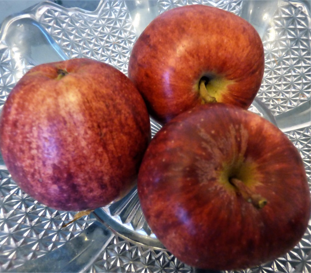 Rosy Apples  by beryl