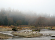 16th Jan 2021 - Fog in the Estuary