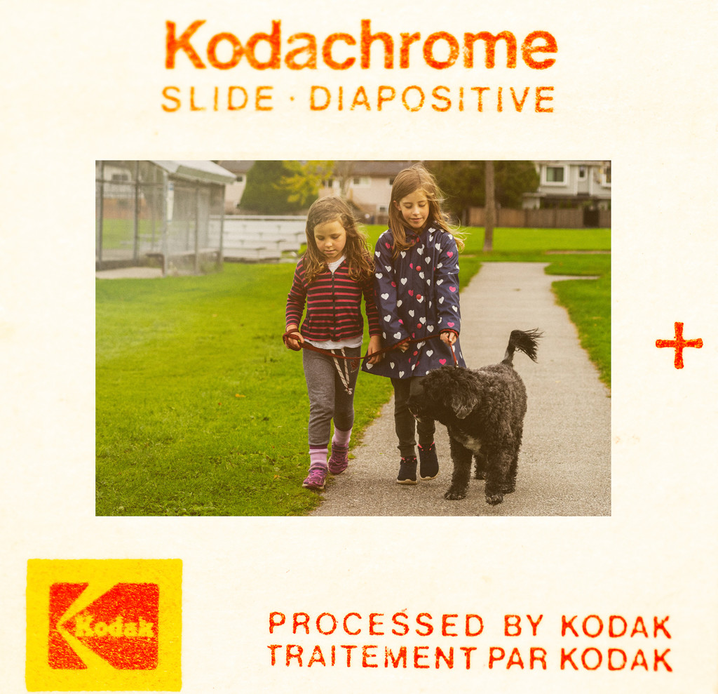 Please Don't Take My Kodachrome Away by cdcook48