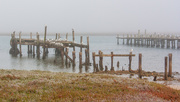 13th Jan 2021 - Jetty in the mist
