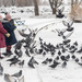 Feeding birds in winter by haskar