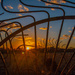 Sunset through the rake... by thewatersphotos