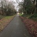 Unusually empty path by nicolaeastwood