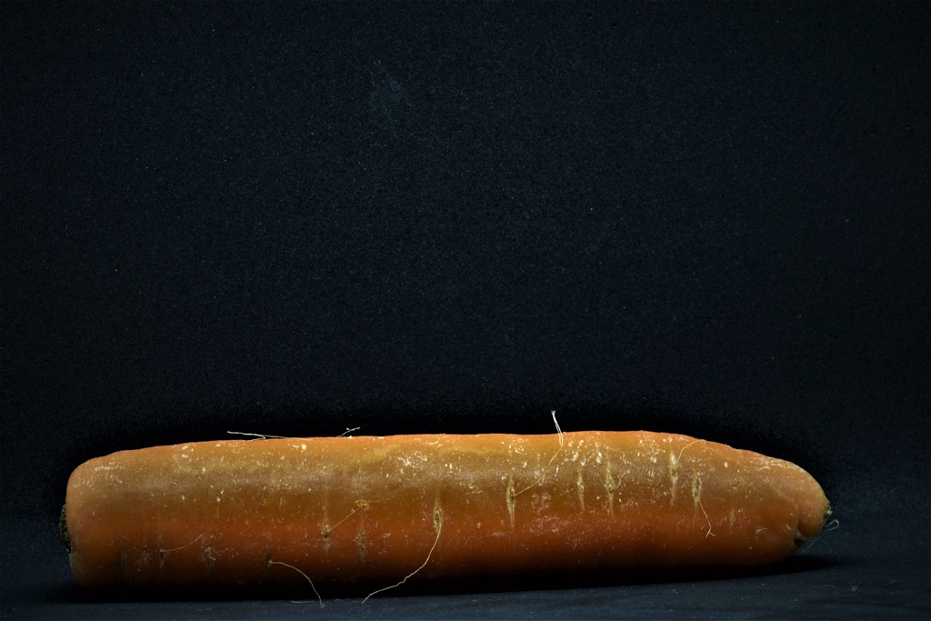 carrot by christophercox