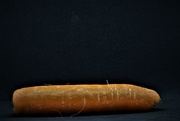 17th Jan 2021 - carrot