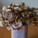 a vase of hydrangea by quietpurplehaze