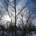 Low winter sun by larrysphotos