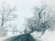 18th Jan 2021 - Snowy road. 
