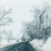 Snowy road.  by cocobella